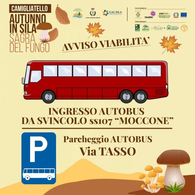 Affiche de Sagra del Fungo - Autunno in Sila